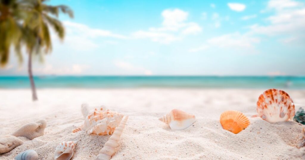Muszle i biały piasek na tropikalnej plaży z turkusowym morzem w tle – Odliczanie do lata. 2/2
